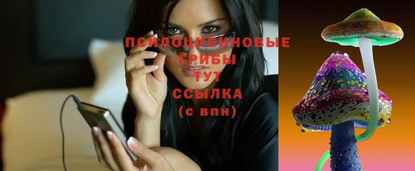 дживик Бородино