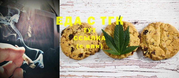 дживик Бородино