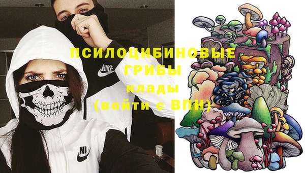 каннабис Верея