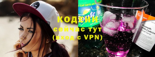 дживик Бородино
