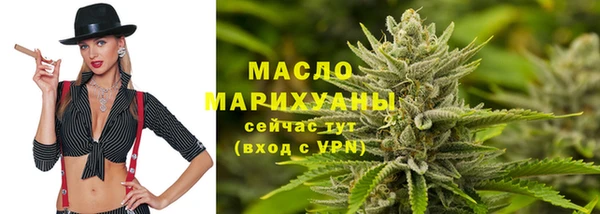дживик Бородино