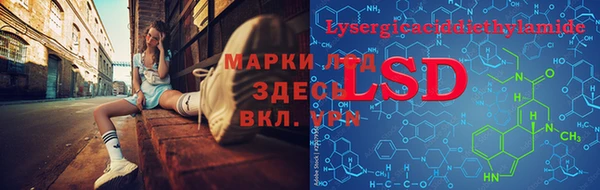 дживик Бородино
